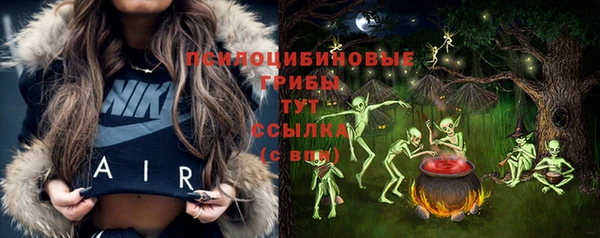 соль курить ск Белокуриха