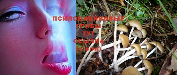 прущий лед Богородск